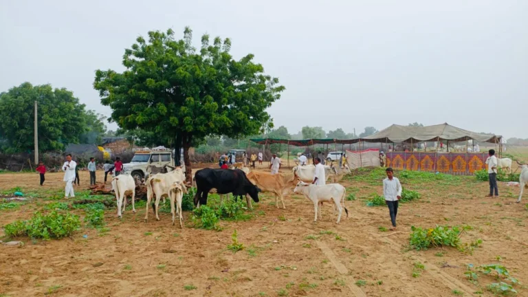 Govansh Bachao Abhiyan